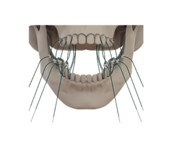 Untitled design (34)